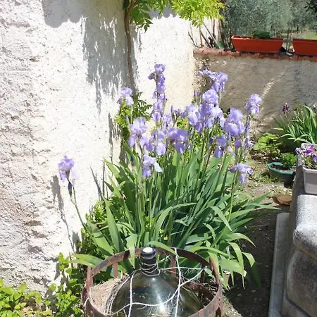 Provence *